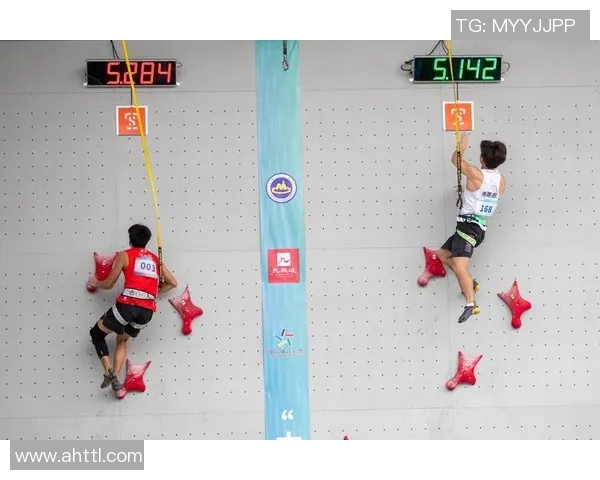 南京攀岩队在全国攀岩比赛经验排行榜中荣获第八名的佳绩分析