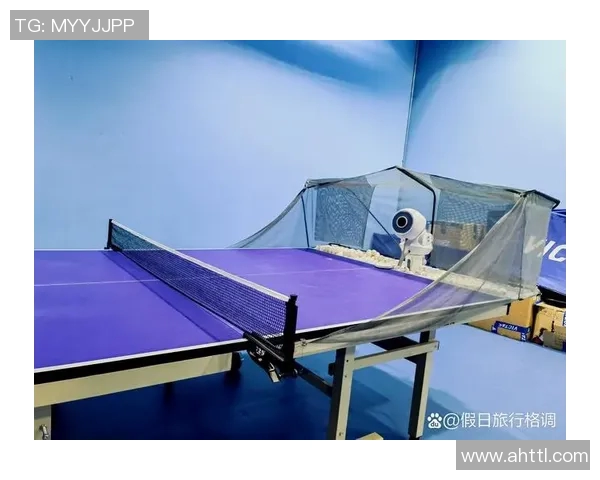 刘敏独家分享乒乓球技巧与心得体会助你提升球技的秘诀